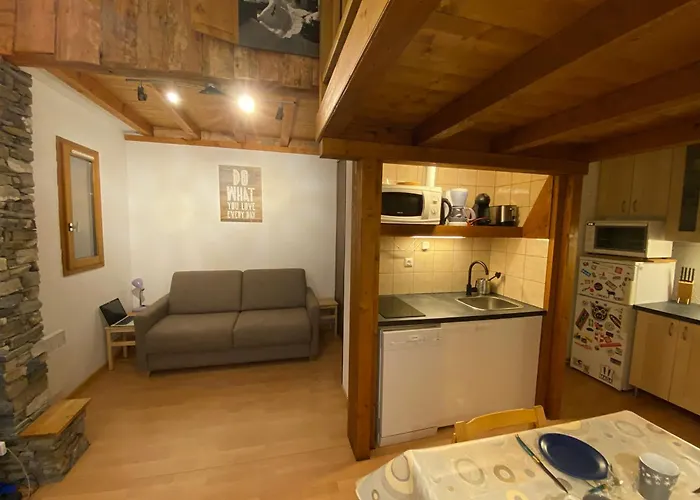 Daire Cosy A La Montagne Avec Acces Direct Aux Pistes - 4 Personnes - Fr-1-181-2478 *