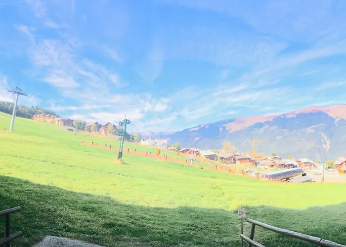 Appartement Cosy A La Montagne Avec Acces Direct Aux Pistes - 4 Personnes - Fr-1-181-2478 La Plagne